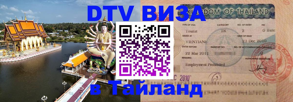Оформление DTV визы под ключ: стоимость и тарифы, только загранпаспорт - Ереван 